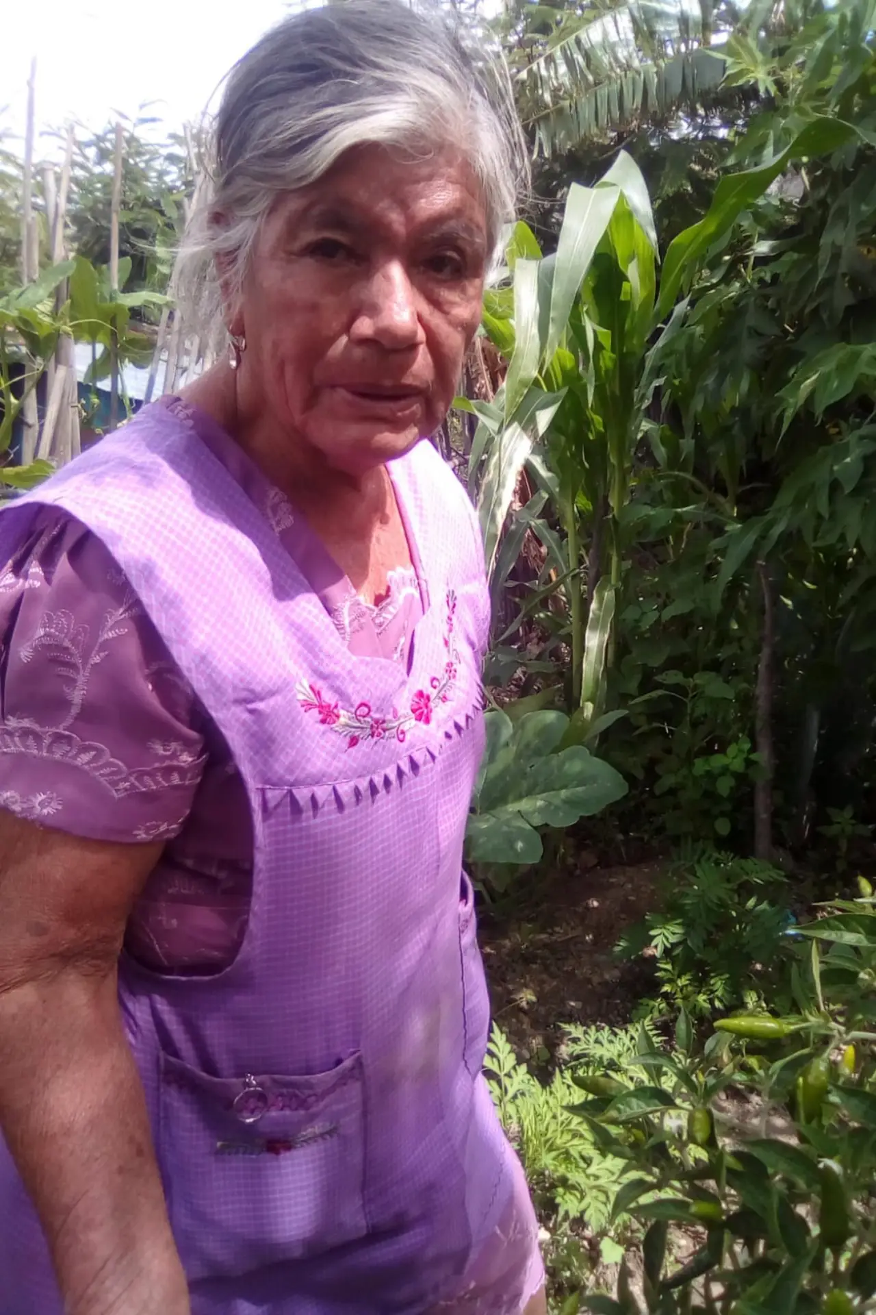 Gracias a la vida... y a ellos